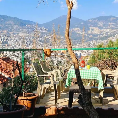Villasun Kleopatra Apartment *