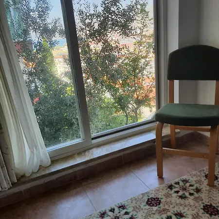 Villasun Kleopatra *